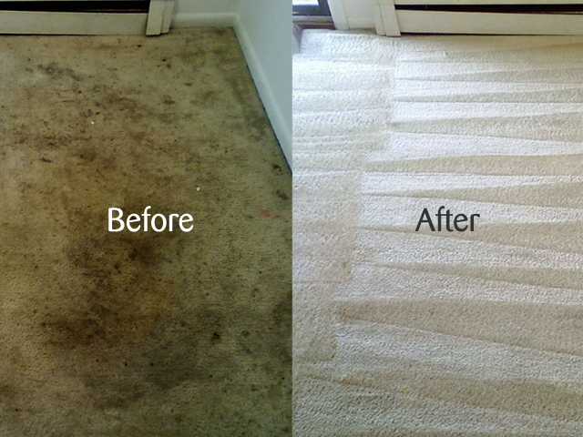 carpet cleaning by dj janitorial service